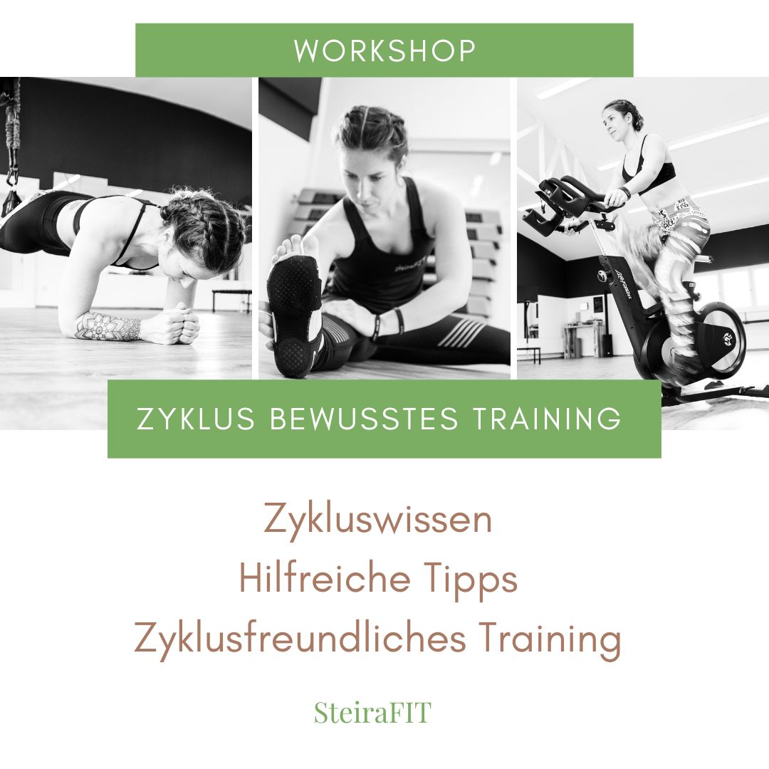 Zyklus bewusstes Training Workshop